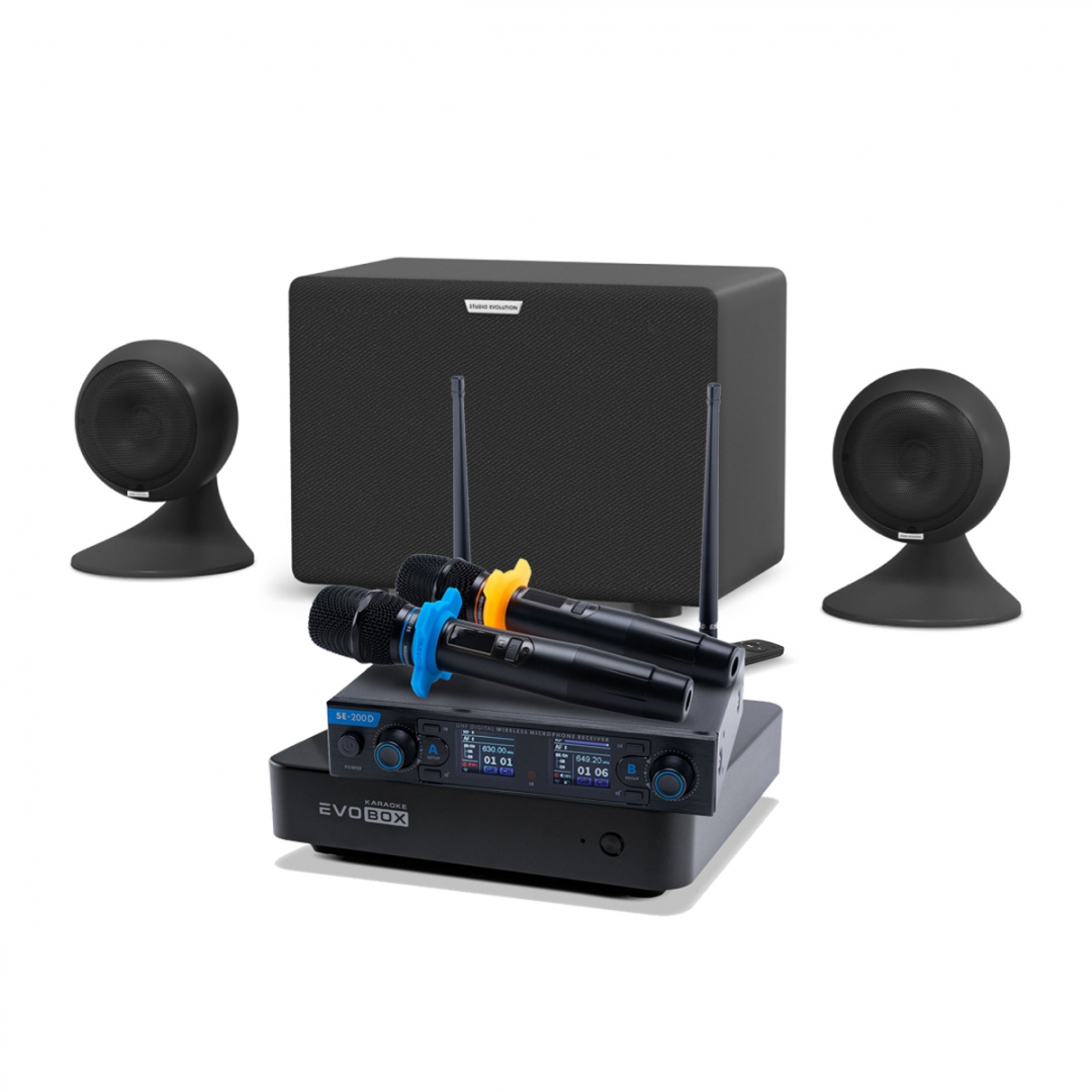 караоке-комплект EVOBOX + EvoSound Sphere 2.1 в Кашире