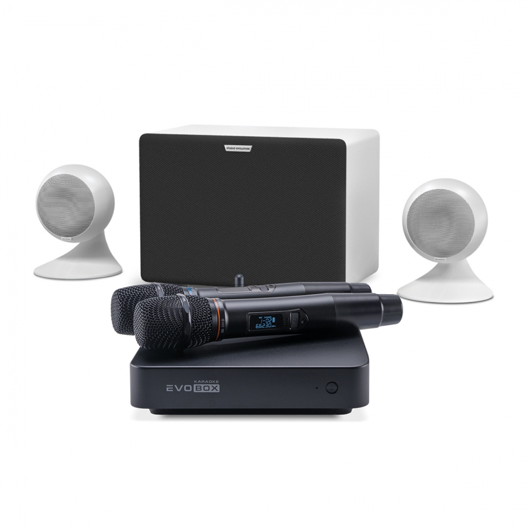 караоке-комплект EVOBOX Classic + EvoSound Sphere 2.1 в Кашире