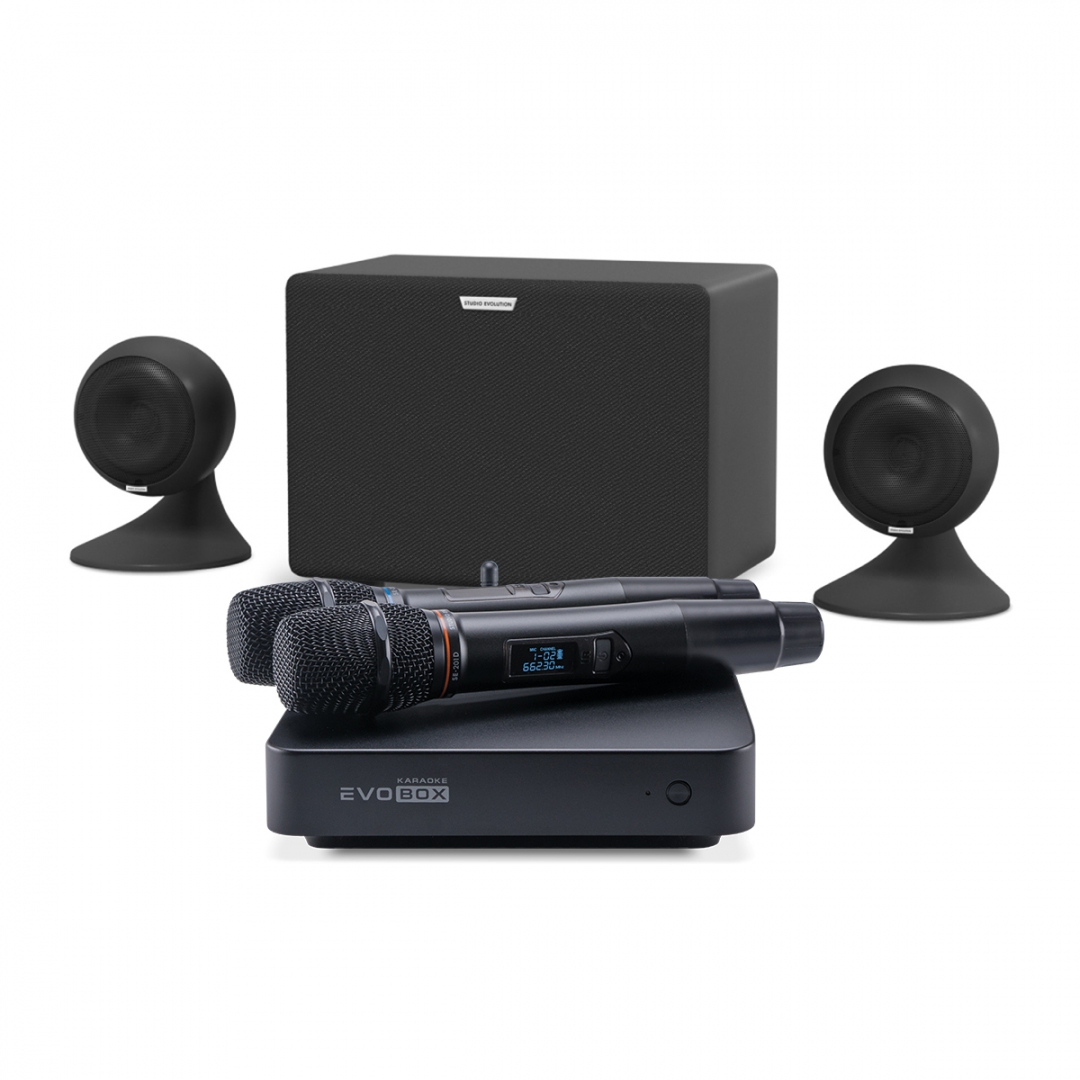 караоке-комплект EVOBOX Plus + EvoSound Sphere 2.1 в Кашире
