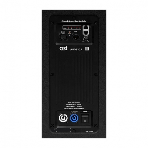 Активная акустическая система AST-310A в Кашире
