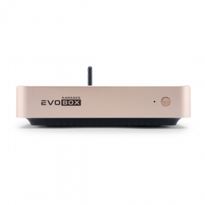 EVOBOX Plus караоке-система для дома в Кашире