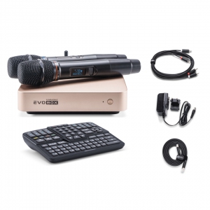 EVOBOX Plus караоке-система для дома в Кашире