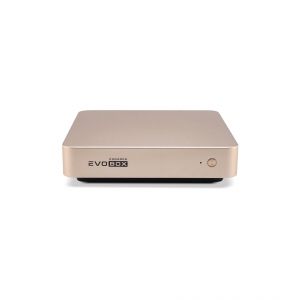 EVOBOX с микрофонами в Кашире